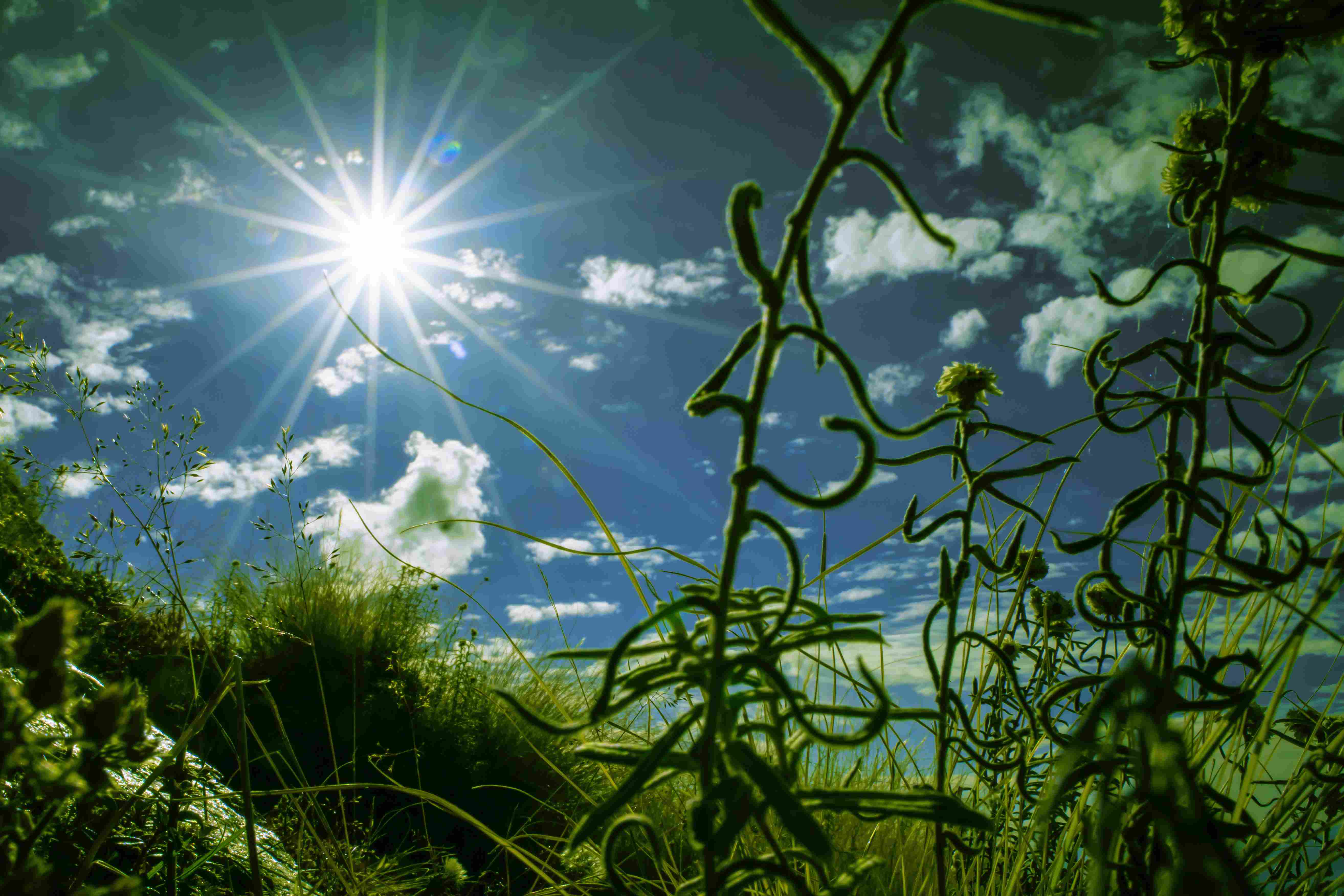 Photography by Surya Teja